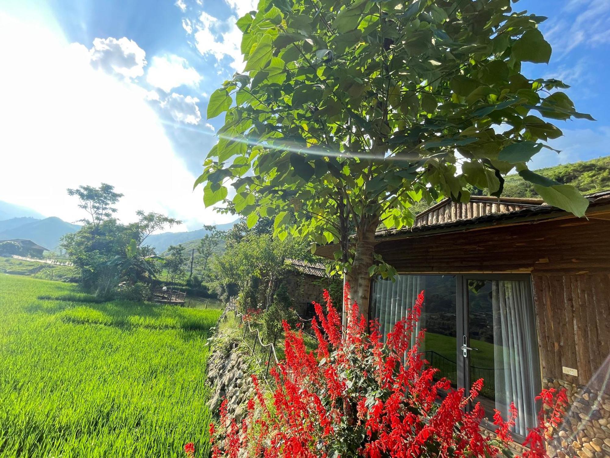 Sapa Bamboo Eco旅馆 外观 照片