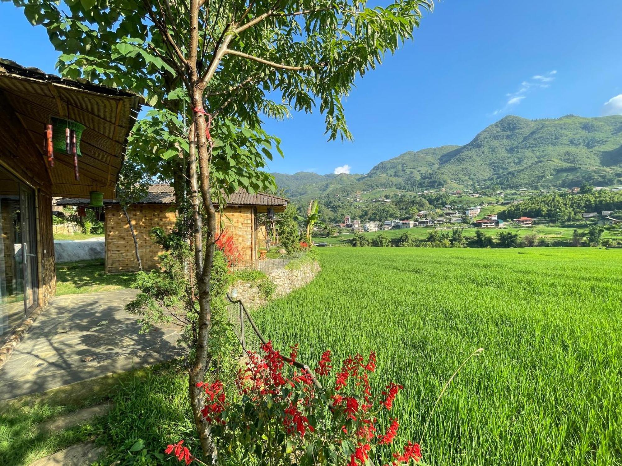 Sapa Bamboo Eco旅馆 外观 照片
