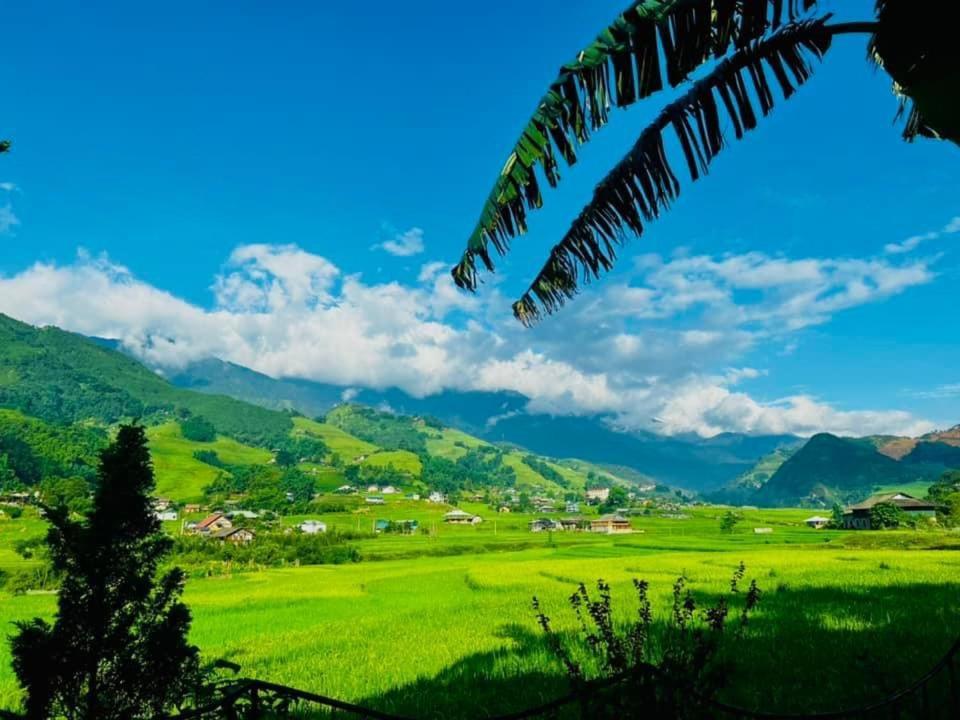 Sapa Bamboo Eco旅馆 外观 照片